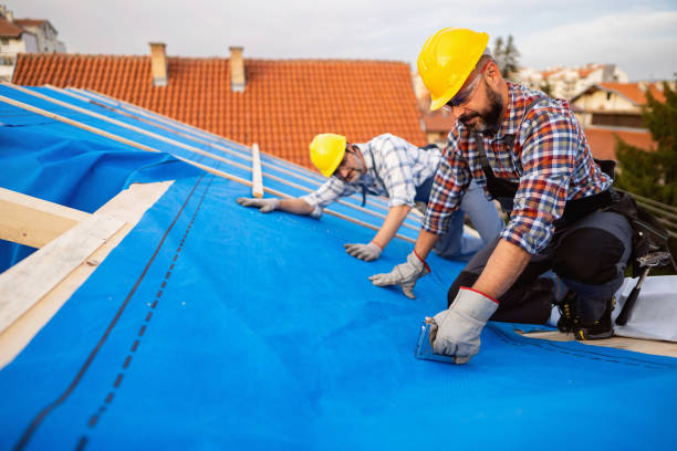 Best Roof Waterproofing  in Alvord, TX